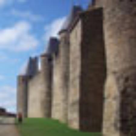 50 Nights at The Magnolia